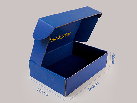  Blue Postal Mailer Box For Clothes